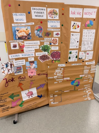 WhatsApp Image 2026-03-13 at 20.39.00 (2).jpeg