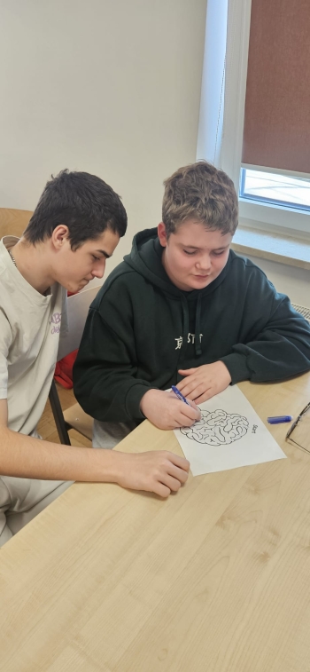 WhatsApp Image 2026-03-13 at 20.39.07 (7).jpeg